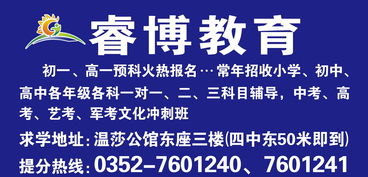 探索服务型教育咨询 大同市城区睿博教育信息咨询中心的实践与启示